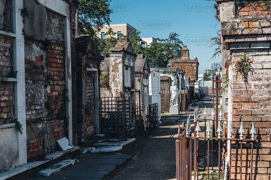 General Section Image